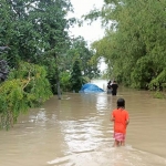 Kondisi banjir luapan Kali Lamong di salah satu desa. foto: SYUHUD/ BANGSAONLINE
