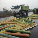 Muatan truk box berupa kain polyester berserakan di jalan arteri Porong.