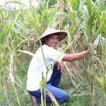 Salah satu petani dari Desa Soso, Kecamatan Gandusari, Kabupaten Blitar.