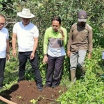 Wakil Wali Kota Batu bersama tim CROP Distan saat melakukan penimbunan buah apel yang terserang jamur mata ayam.