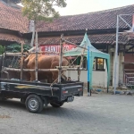 Sejumlah ternak dari Bangkalan yang hendak dikirim.