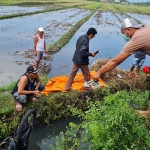 Petugas saat mengevakuasi jenazah pada saluran irigasi sawah di Dusun Tempel, Desa Balongdowo, Kecamatan Candi, Sidoarjo.