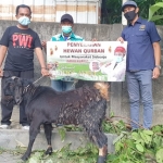 TERIMA: Pengurus PWI Sidoarjo menerima bantuan hewan kurban dari Indah Kurnia, Senin (19/7/2021). foto: istimewa