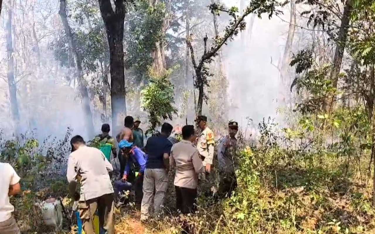 Personel kepolisian bersama petugas perhutani padamkan api yang melahap RPH Sidowayah Ngawi.