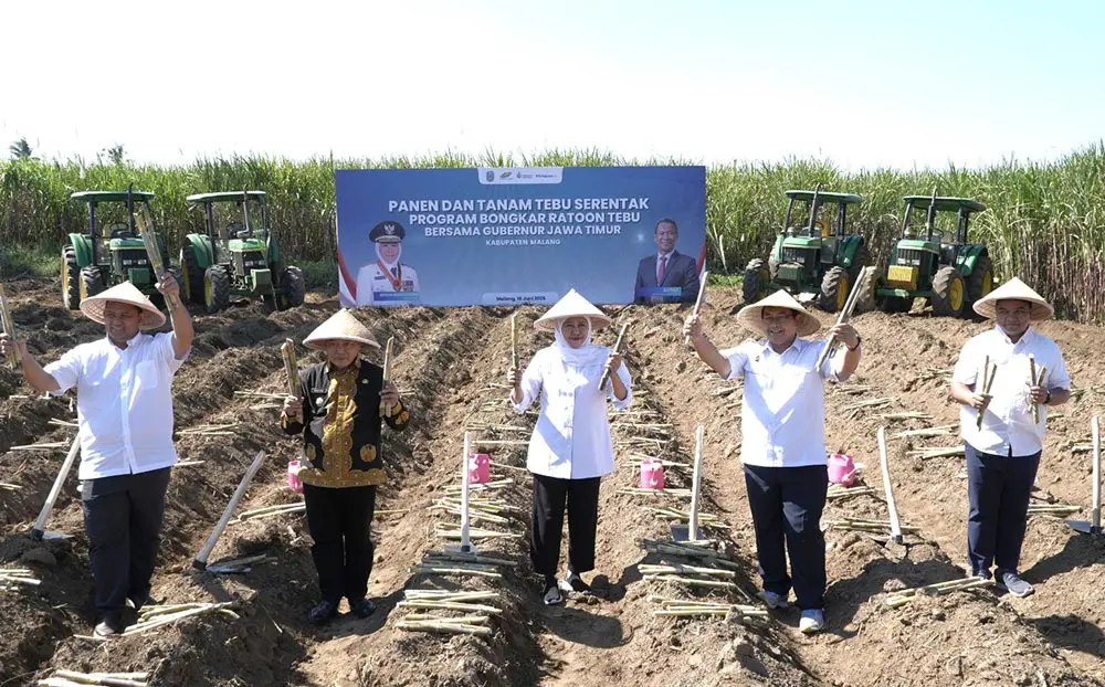 Gubernur Jawa Timur Khofifah Indar Parawansa bersama Direktur Operasional PT SGN Kuntoro Boga Andri dan Bupati Malang melaksanakan panen dan tanam tebu serentak. Foto: SGN