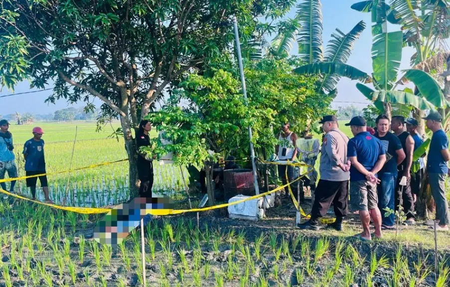 Lagi, Petani di Ngawi Tewas Tersengat Aliran Listrik Jebakan Tikus Milik Sendiri