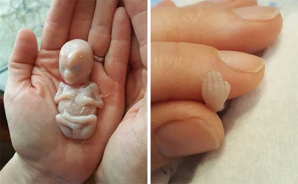Sungguh semprna. Subhanallah, masya Allah... foto: mirror.co.uk