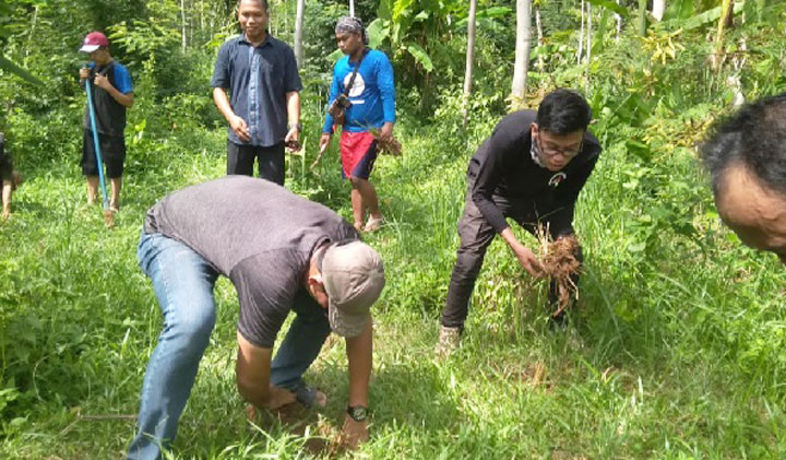 Penanaman vertivet (akar wangi) yang berfungsi sebagai pencegah erosi dan longsor di sungai Dusun Ngawen.