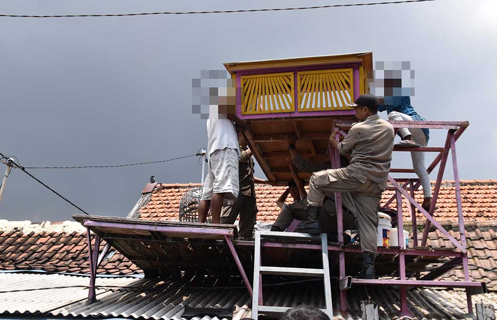 Satpol PP Kota Surabaya dibantu tiga pilar Kecamatan Tambaksari saat membongkar tujuh bekupon atau rumah burung merpati di kawasan Jalan Gubeng Masjid, Kamis (6/3/2025).