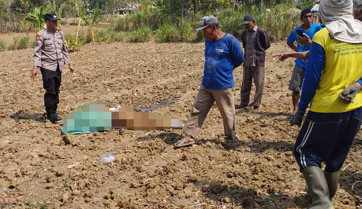 Jadi Korban Pembacokan, Sekdes di Tuban Tewas Bersimbah Darah