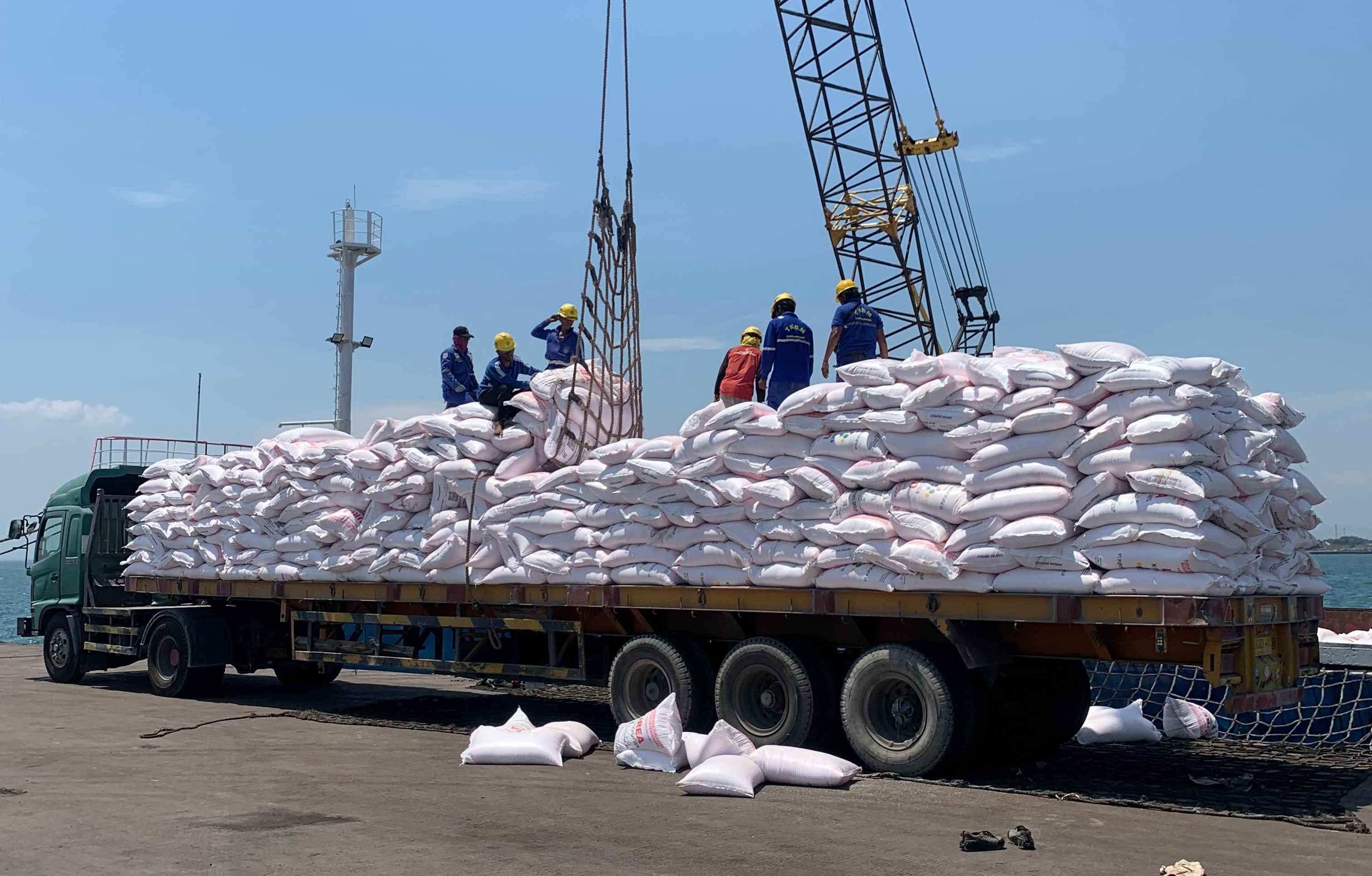 Bongkar muat pupuk bersubsidi yang dipercayakan PT DABN Probolinggo