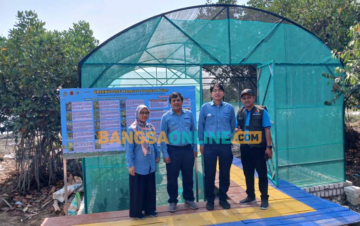 PT Smelting Bantu Green House di Ecowisata Mangrove Pangkah Kulon Gresik