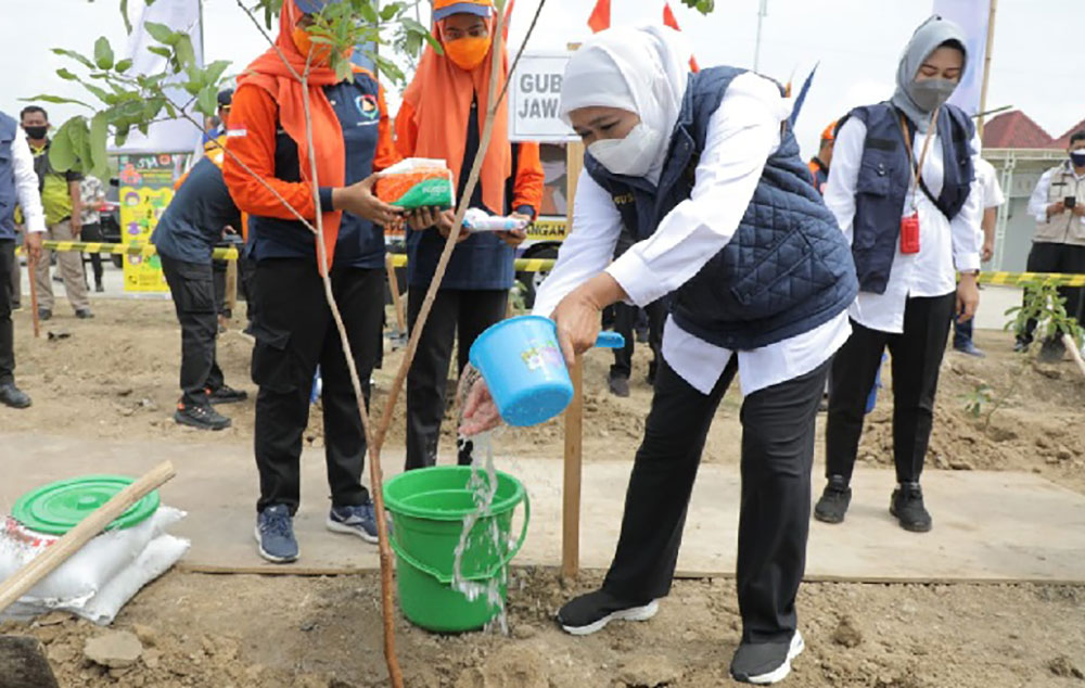 Gubernur Jawa Timur Khofifah Indar Parawansa menggelar gerakan restorasi mangrove dengan tajuk “Nandur Mangrove” di sejumlah daerah.