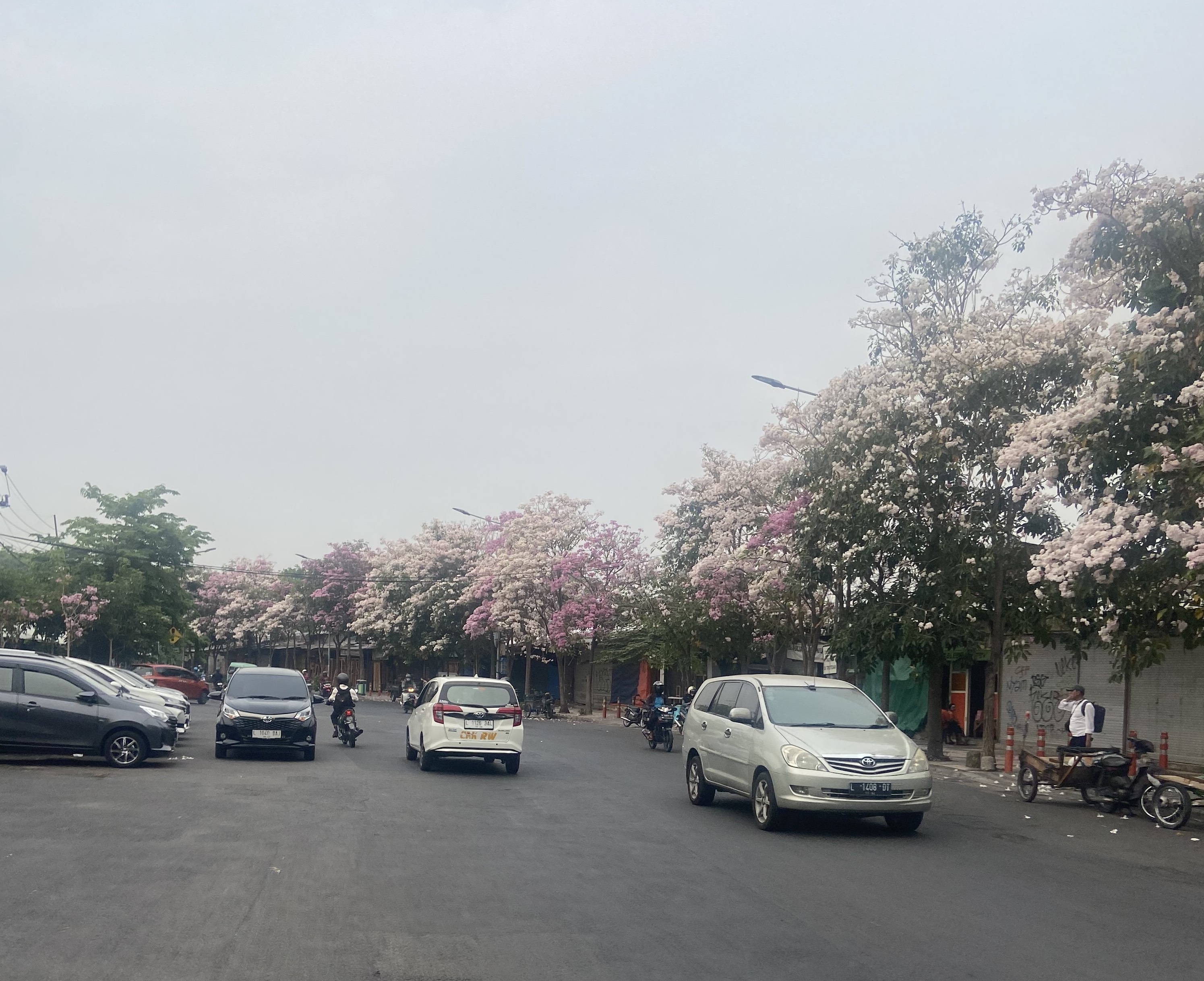 BMKG Prakirakan Kamis Hari ini Cuaca Kota Surabaya Berawan