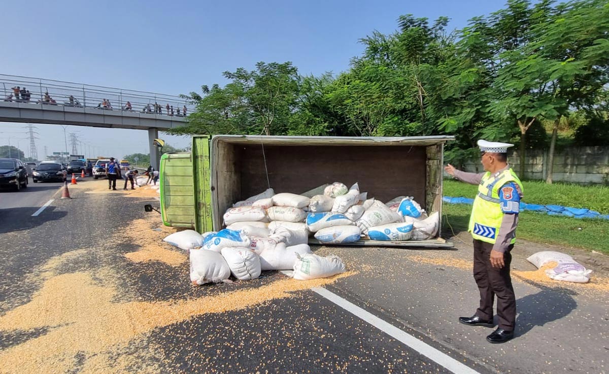 Kondisi truk bermuatan jagung yang terguling usai diseruduk bus dari belakang.