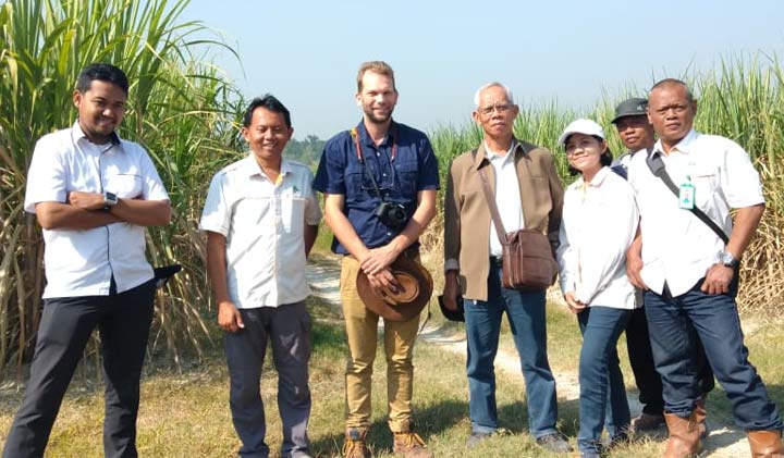 Senior Scientist Illovo Sugar Africa Nickholas Grantham saat mengunjungi lahan yang ditanami tebu varietas tahan kering.
