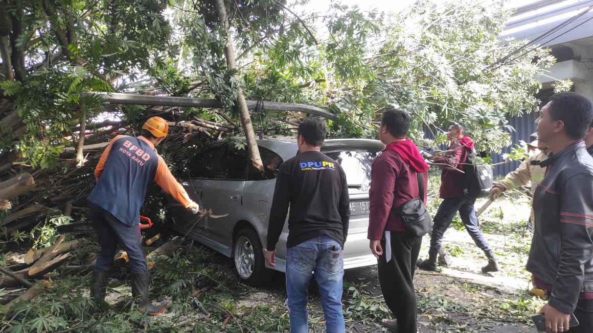 Mobil Honda Mobilio saat tertimpa pohon randu akibat longsor. Foto: Ist.