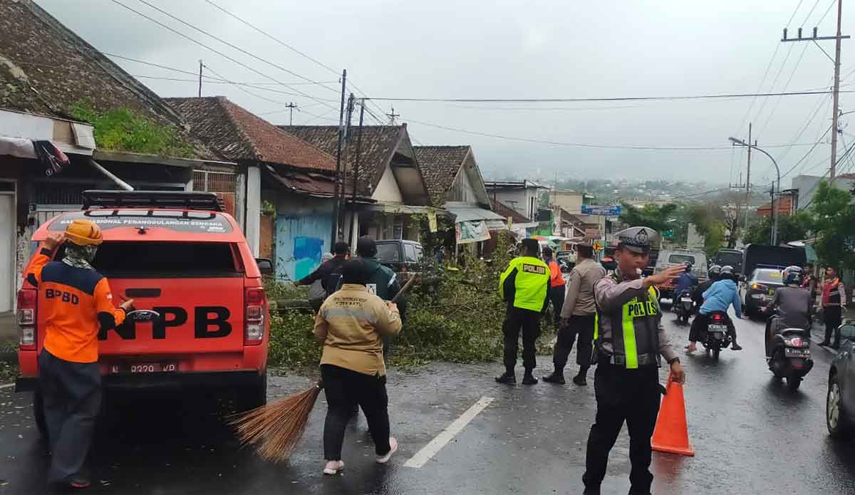 Petugas saat mengevakuasi pohon tumbang yang menimpa pelajar di Kota Batu.