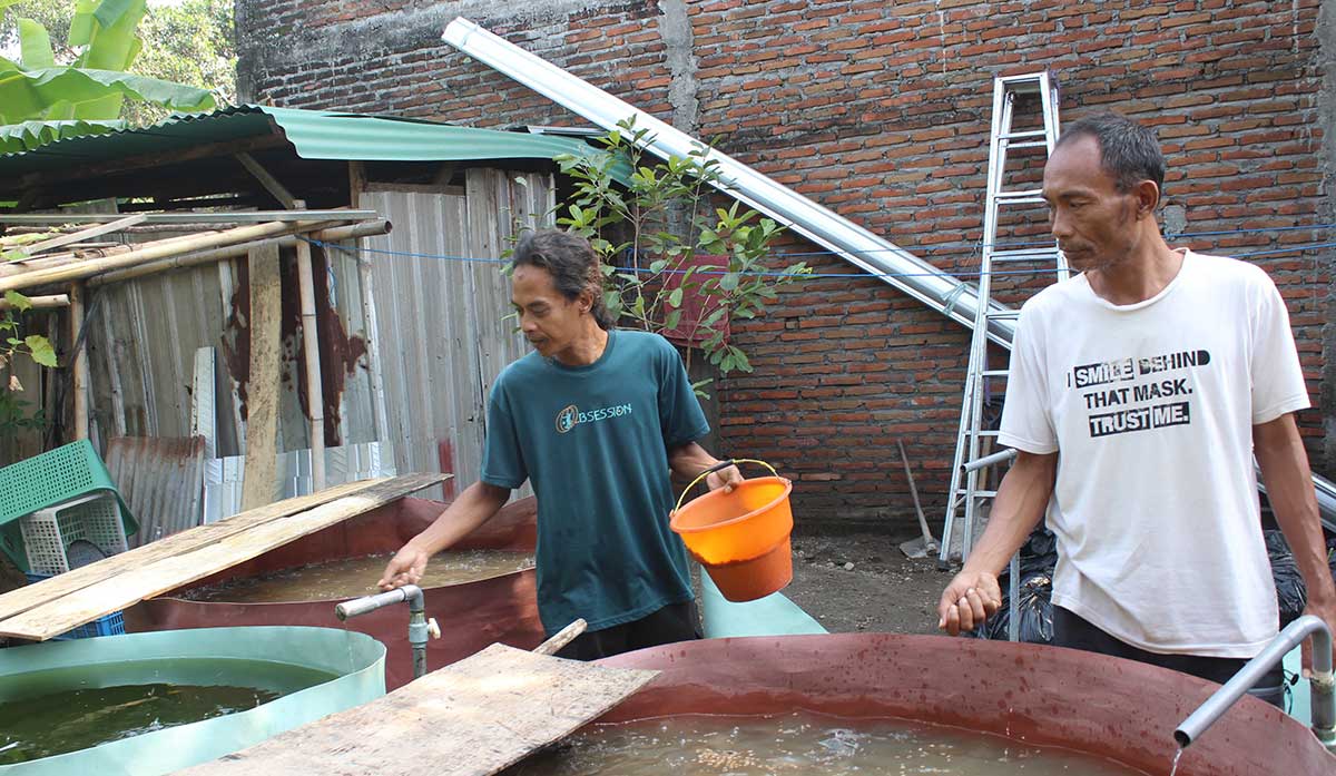 Koordinator Rumah Lansia Gusdurian Mojokutho Pare, Anugrah Yunianto (kanan) bersama relawan saat memberi makan lele. Foto: Ist