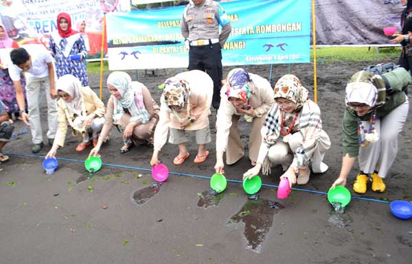 Rombongan Bhayangkari Jawa Timur saat melepas tukik di Pantai Solong, Bayuwangi.