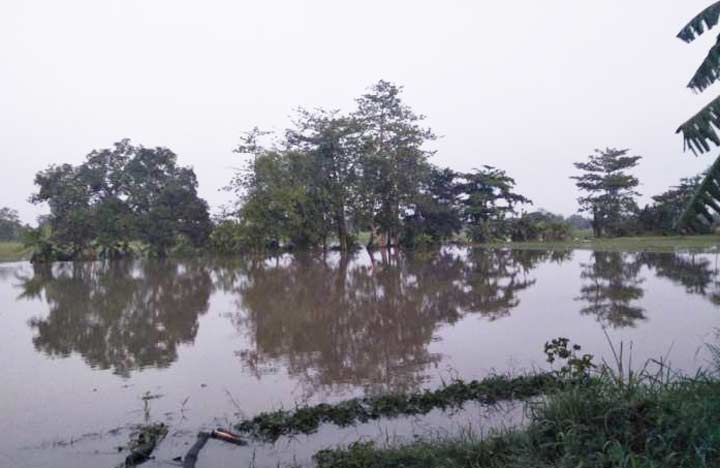 Banjir yang melanda salah satu wilayah di Kecamatan Rejoso.