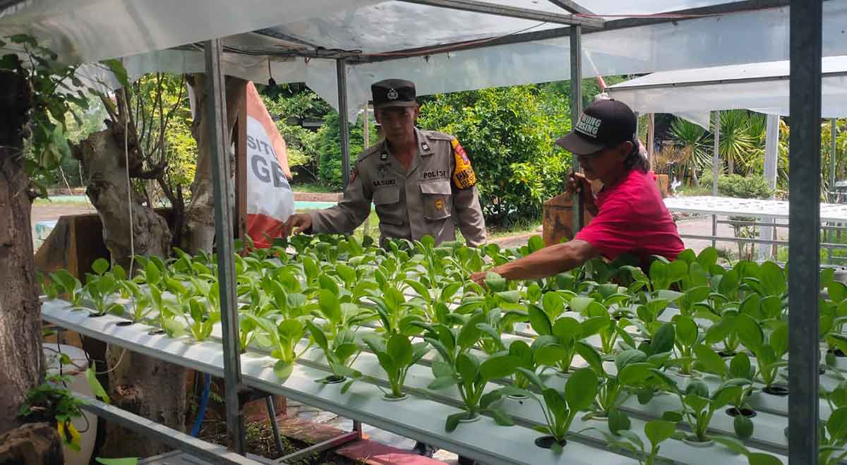 Petugas dari Polsek Candi saat meninjau keberlangsungan program ketahanan pangan di Desa Gelam.