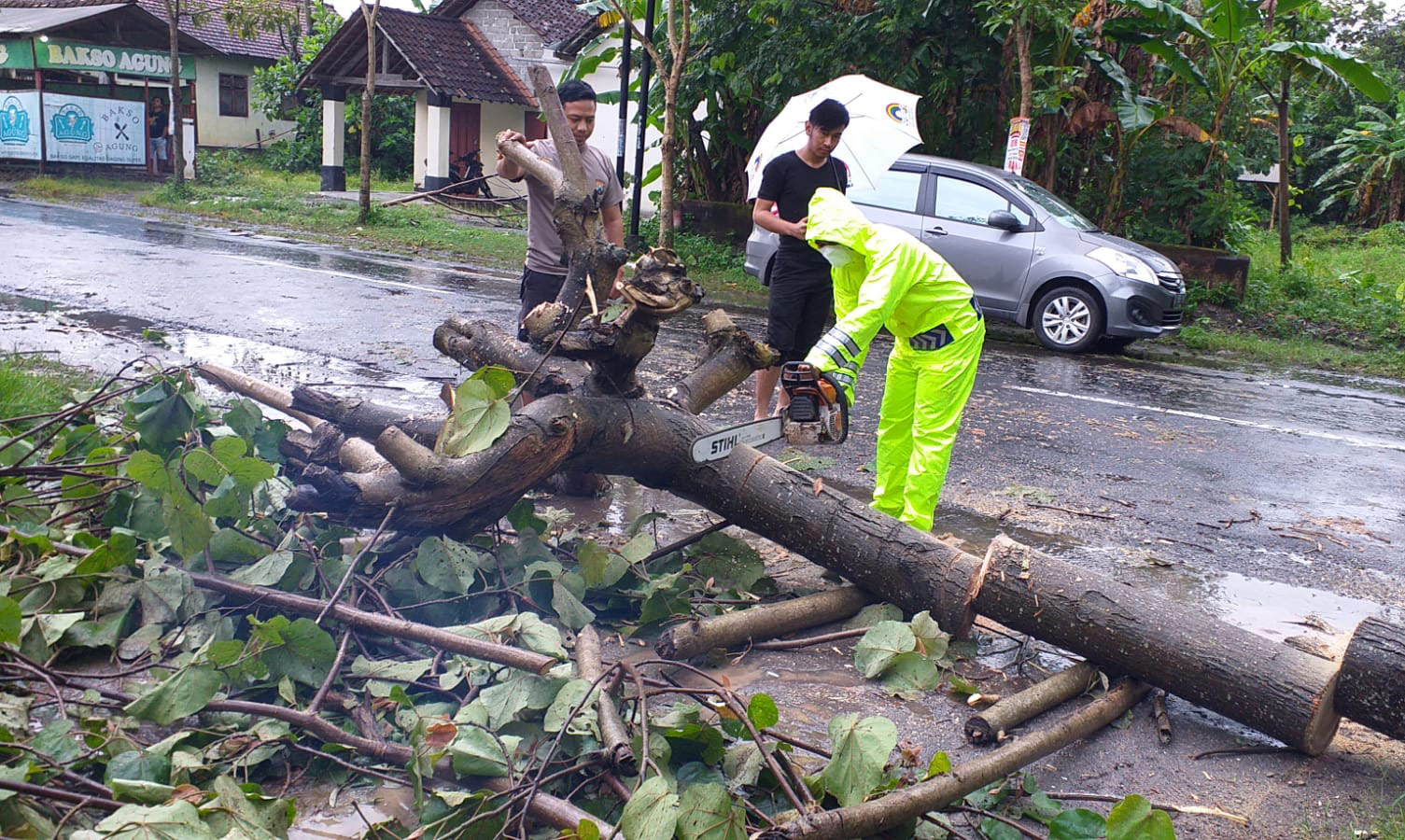 Petugas saat memotong pohon yang tumbang di di Jalan Raya Desa Pakisrejo Kecamatan Srengat.