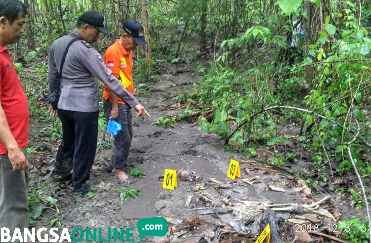 Petugas menunjukkan tengkorak dan kerangka manusia yang ditemukan.