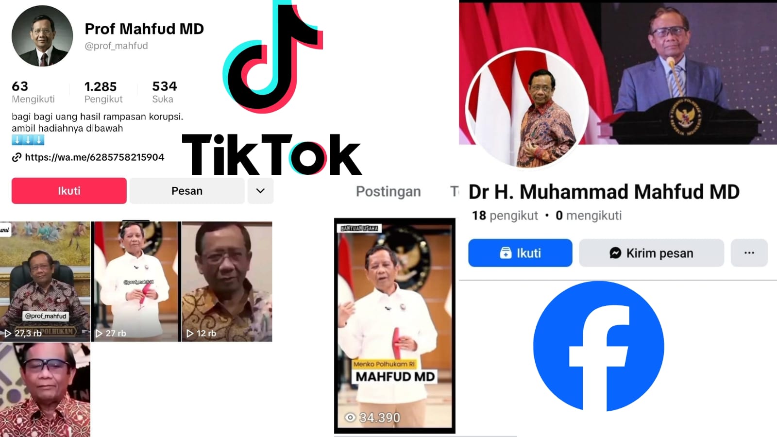 Akun palsu yang beredar di mesia sosial. Foto: tampilan di Facebook dan TikTok