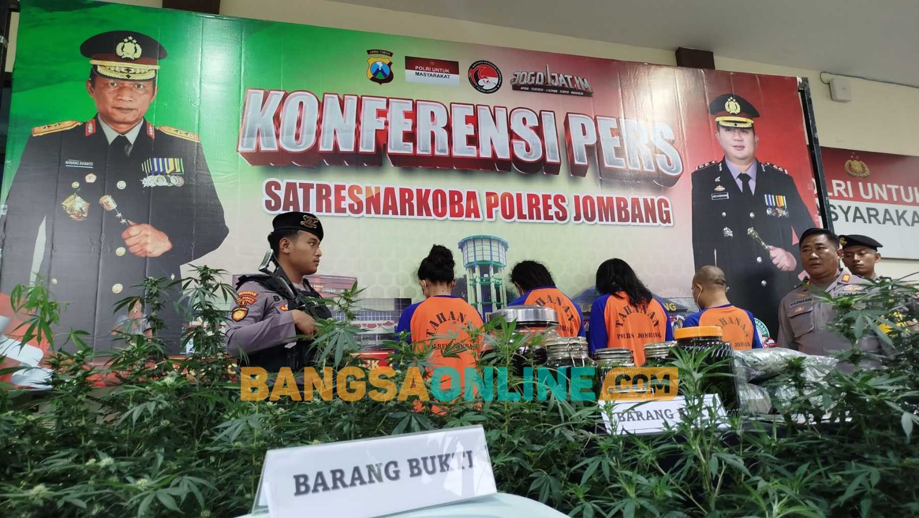 Kapolres Jombang, AKBP Ardi Kurniawan saat konferensi pers pengungkapan kasus penanaman ganja di green house. Foto: Aan Amrulloh/BANGSAONLINE