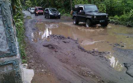 Salah satu akses jalan di Kabupaten Blitar yang rusak parah.