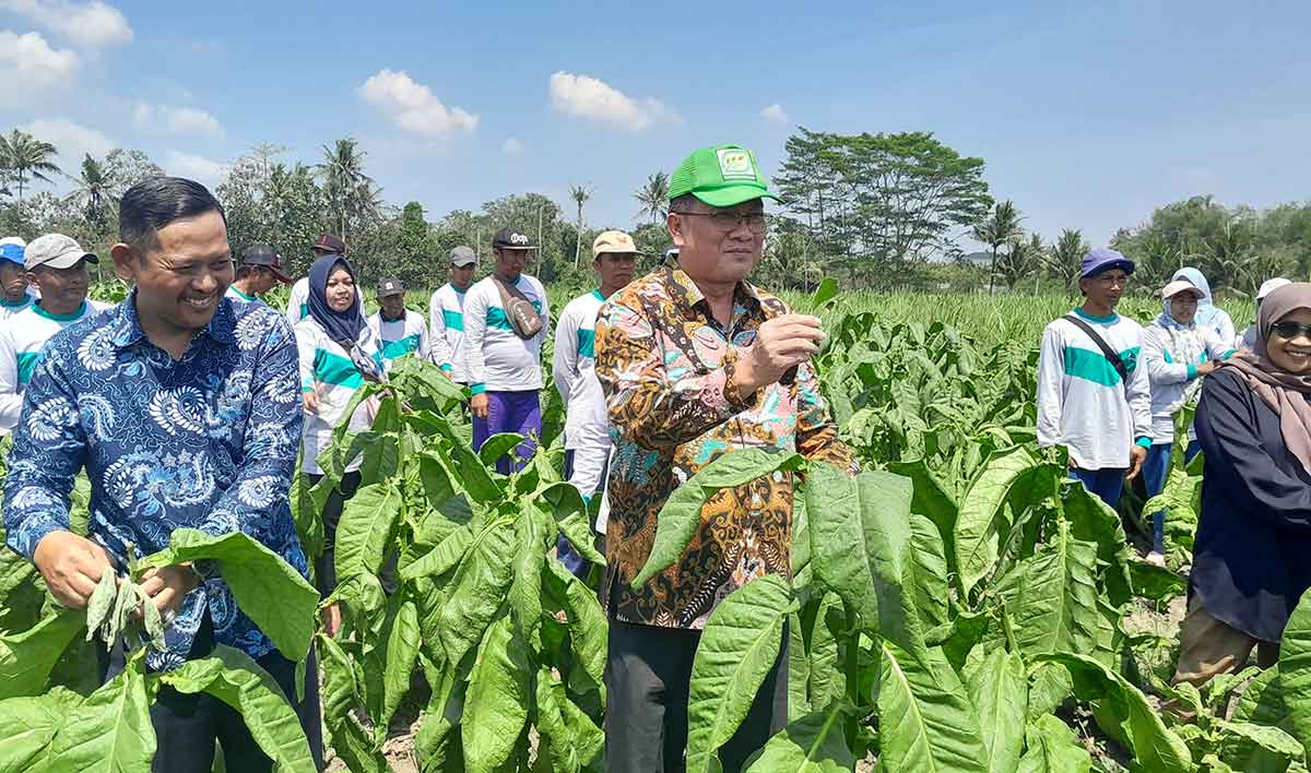 SL atau sekolah lapang di Desa Sukorejo, Kecamatan Gondanglegi, Kabupaten Malang.