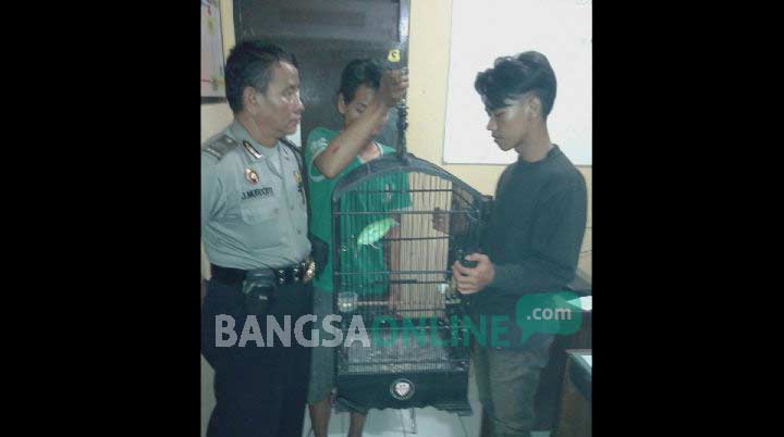 TERTANGKAP: Kedua tersangka pencurian burung cucak hijau di Mapolsek Buduran, kemarin. foto : catur andy erlambang/ BANGSAONLINE