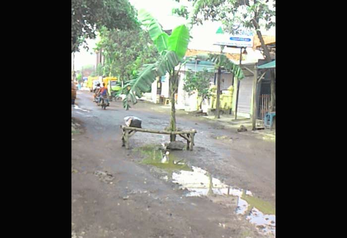 Jalan di Cangkringmalang Beji, Pasuruan.