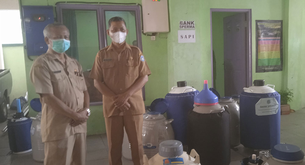 Mengintip Bank Sperma Sapi Milik Disnakeswan Lamongan