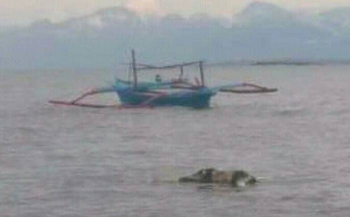 Kondisi jasad Santoso mengapung, di perairan pantai Wongsorejo, Banyuwangi yang semula diduga Mr X.
