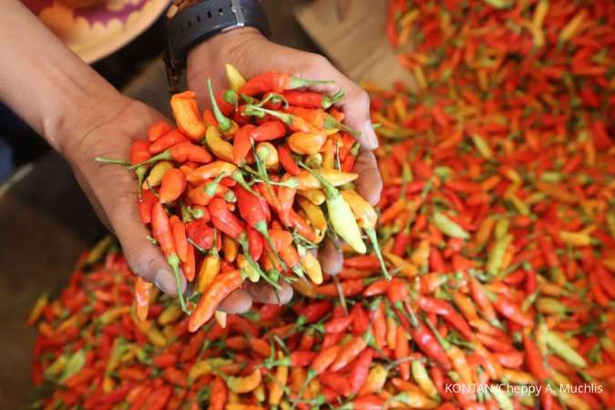 Update Harga Sembako Jatim Hari ini 8 Januari 2025, Cabai dan Daging Turun Tipis