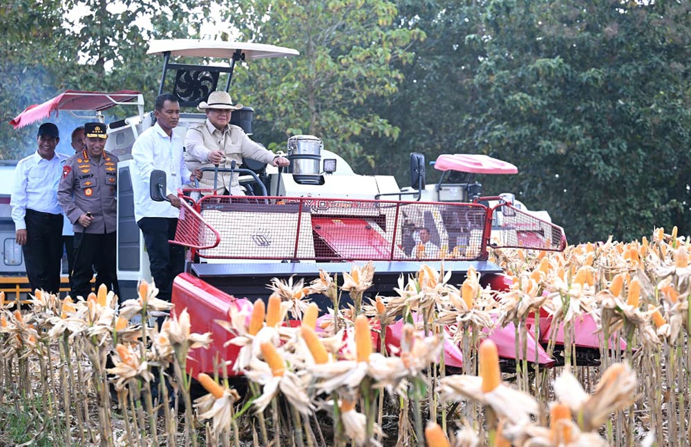 Presiden Prabowo didampingi Kapolri dan Menteri Pertanian saat memanen jagung di Kabupaten Tuban.