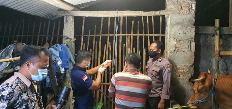 Petugas saat berada di kandang sapi di Dusun Bumirejo, Desa Kunjang, Kecamatan Ngancar, Kabupaten Kediri, Sabtu (26/2). foto: ist.