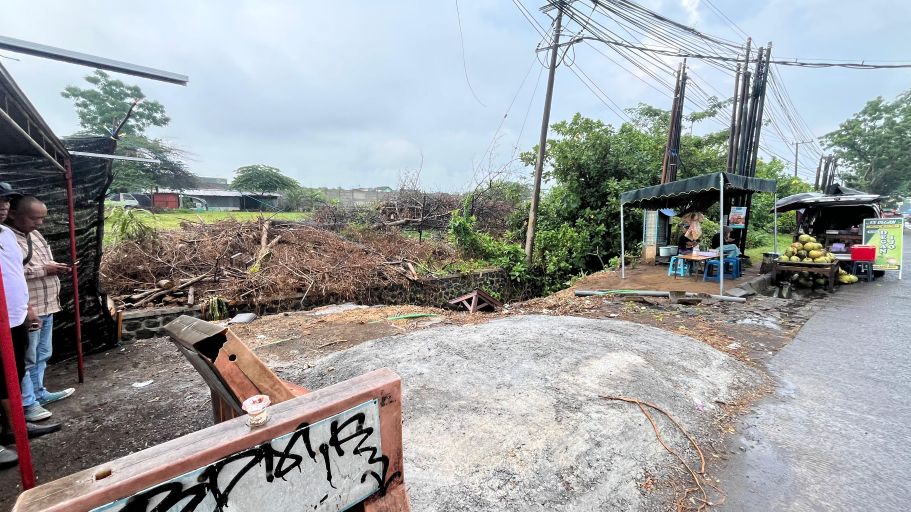 Penebangan Pohon Beringin di Singosari Malang Jadi Polemik, Diduga untuk Proyek Komersil