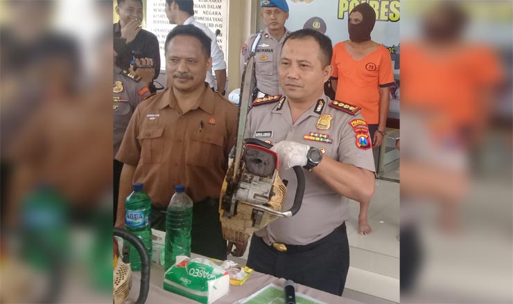 Kapolresta Banyuwangi Kombes Pol Arman Asmara menunjukkan barang bukti berupa gergaji mesin didampingi KKPH Banyuwangi Utara Aus Santoso.