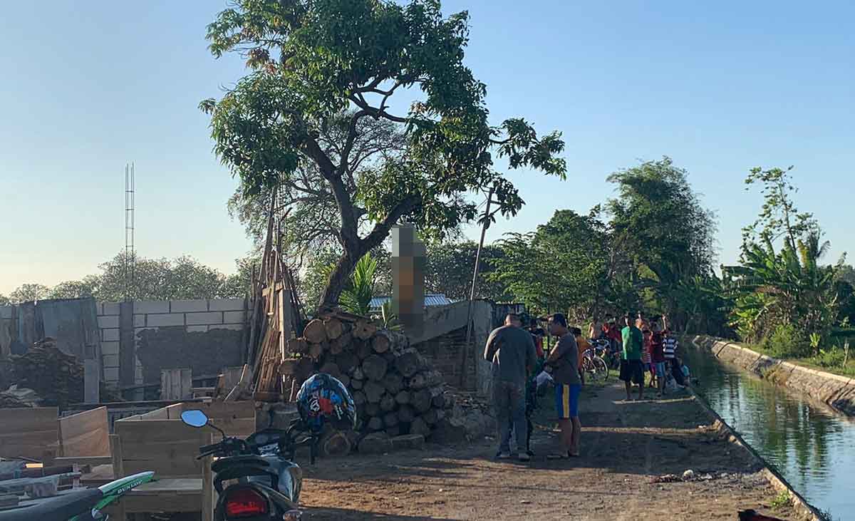 Kondisi korban yang sudah meninggal akibat tewas gantung diri di pohon mangga.