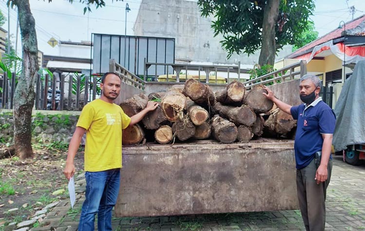 Barang bukti kendaraan dan kayu jati yang diamankan dari tangan tersangka Mantan Kades Renteng.