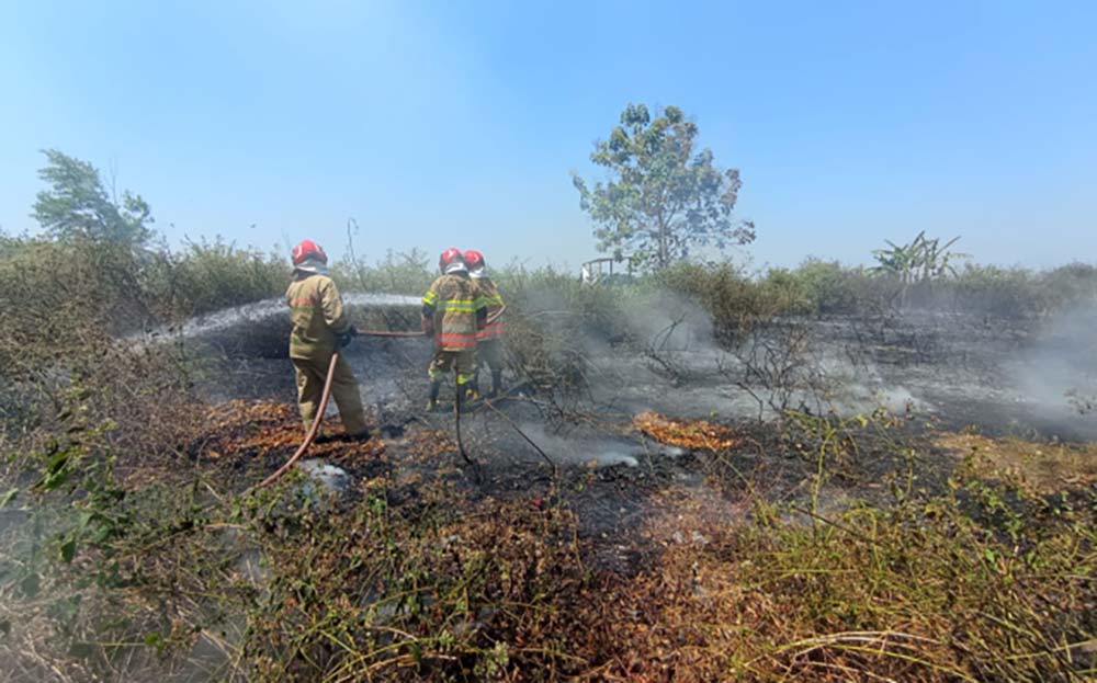 Petugas Damkarmat Bojonegoro saat melakukan pemadaman api yang membakar lahan.