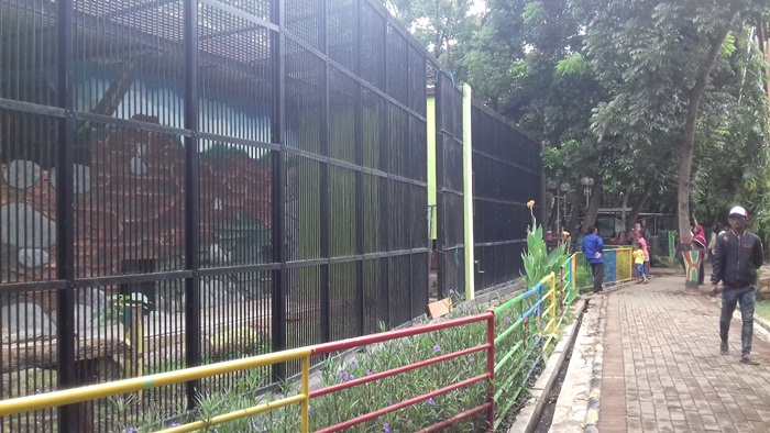 Kandang singa yang masih kosong melompong tak ada penghuninya.