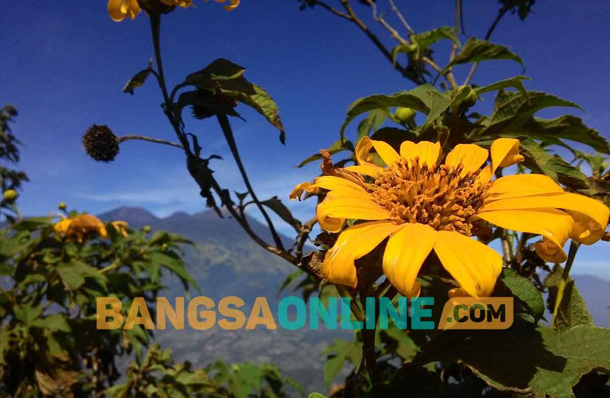 Foto: BANGSAONLINE