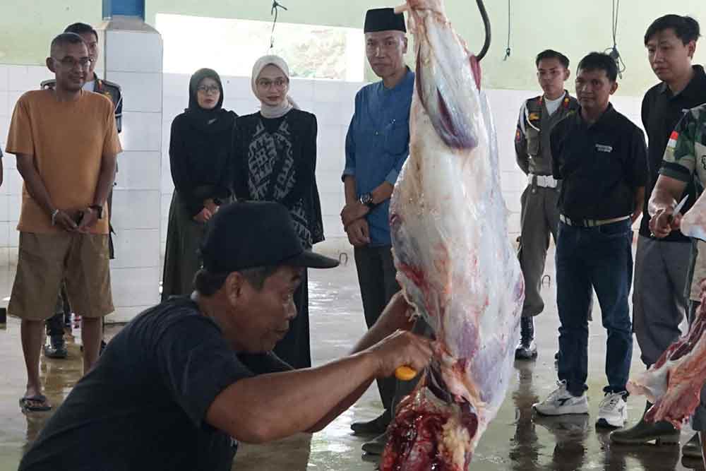 Wali Kota Kediri Vinanda Prameswati saat meninjau UPTD Rumah Potong Hewan (RPH) Kelurahan Pojok. (Ist)