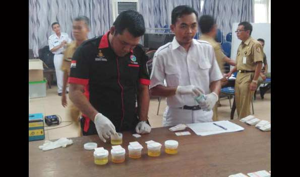 Petugas saat memeriksa sampel urine para pegawai Pemkab Jember.