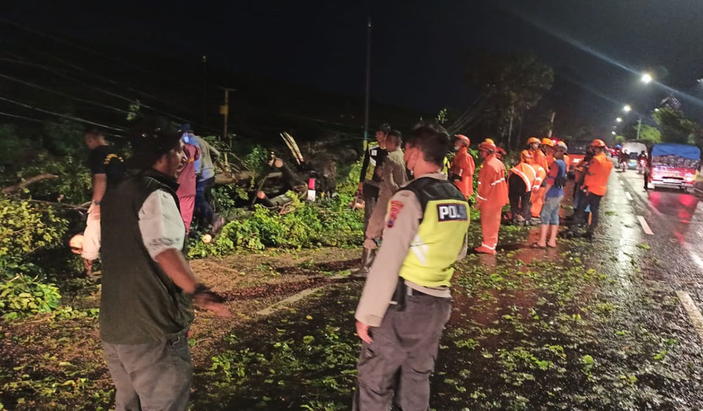 Petugas kepolisian saat mengevakuasi pemotor yang tewas tertimpa pohon tumbang di Jalan Raya Ketapang Sidoarjo.