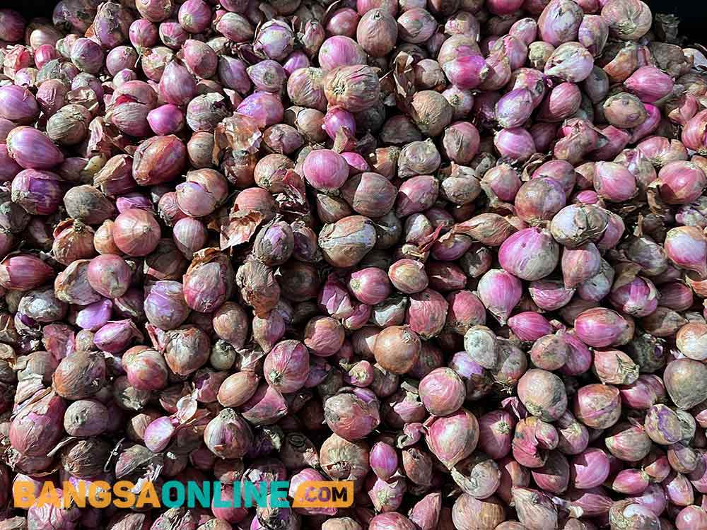 Bawang merah menjadi salah satu komoditas yang mengalami penurunan hari ini. Foto: Sulthon/Bangsaonline.